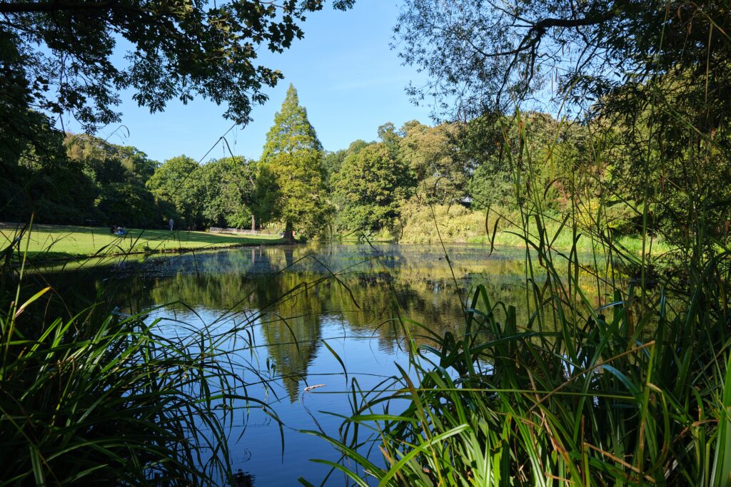 Parc Mont Griffon